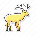 deer, horned stag, reindeer, herbivore animal