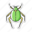 scarab beetle, egyptian bug, dung beetle, arthropod 