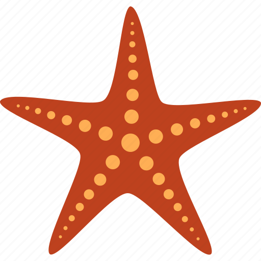 Echinoderm, fish, marine, red, sea, star, starfish icon - Download on Iconfinder