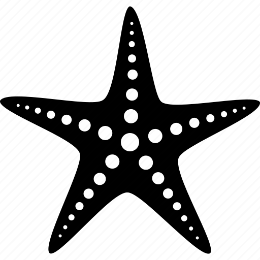Echinoderm, fish, life, marine, sea, star, starfish icon - Download on Iconfinder