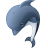 animal, dolphin