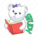 reading book, study book, bear studying, bear reading, busy bear