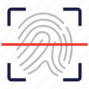 fingerprint, identity, biometric, identification