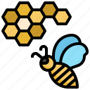 apiary, honeycomb, bee, farming, gardening, animals, honey
