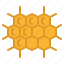 honeycomb, beekeeping, nature, apiary, honey