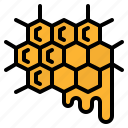 honeycomb, drop, beekeeping, nature, apiary, honey
