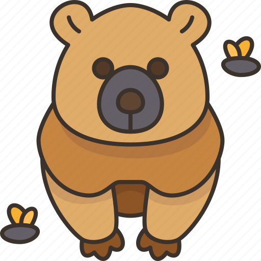 Bear, grizzly, wildlife, animal, forest icon - Download on Iconfinder