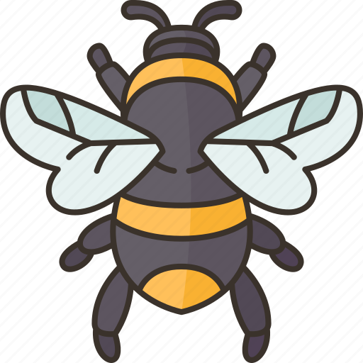 Bee, honey, insect, animal, nature icon - Download on Iconfinder