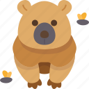 bear, grizzly, wildlife, animal, forest