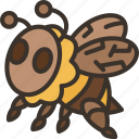 bee, honeybee, honey, sting, insect