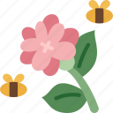 bee, flower, nectar, pollinate, honey