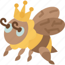 bee, queen, female, beehive, insect