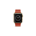 apple, bright, buckle, edition, gold, modern, product, red, watch