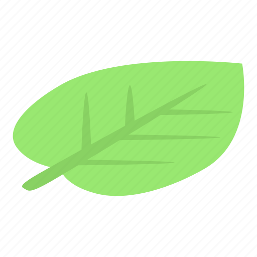 Apricot, cartoon, food, isometric, leaf, logo, tree icon - Download on Iconfinder
