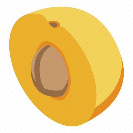 Apricot, cartoon, eco, flower, half, isometric, tree icon - Download on Iconfinder