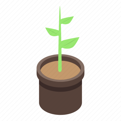 Apricot, cartoon, flower, isometric, plant, pot, tree icon - Download on Iconfinder