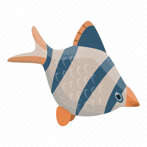 Animal, cartoon, exotic, fish, isometric, nature, water icon - Download on Iconfinder