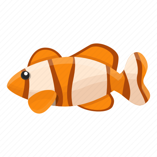 Angel, australian, exotic, fish, summer, water icon - Download on Iconfinder