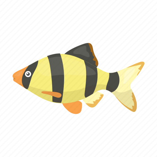 Animal, aquarium, barbus, exotic, fish icon - Download on Iconfinder