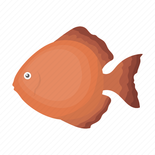 Animal, aquarium, exotic, fish, moon fish icon - Download on Iconfinder
