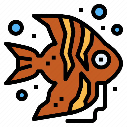 Angelfish, animal, aquatic, life, sea icon - Download on Iconfinder