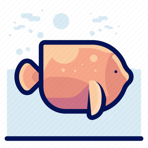 Animals, aquatic, fish, nautical, ocean, wildlife icon - Download on Iconfinder