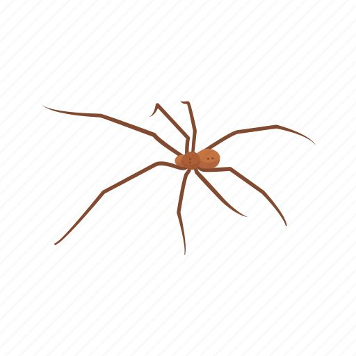 Animal, arachnid, carpenter spider, cellar spider, daddy long legs, invertebrates icon - Download on Iconfinder