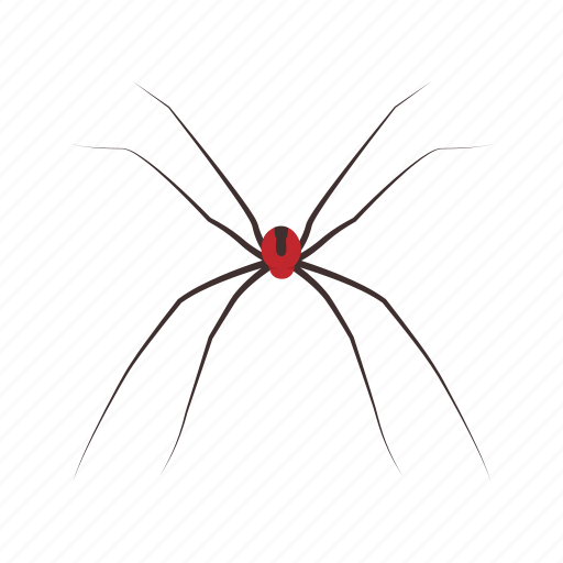 Animal, arachnid, cellar spider, daddy long legs, invertebrates, spider icon - Download on Iconfinder