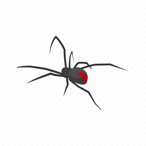 Animal, arachnid, black widow, invertebrate, redback spider, spider icon - Download on Iconfinder