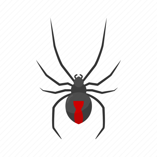 Animal, arachnid, black widow, invertebrate, redback spider, spider icon - Download on Iconfinder