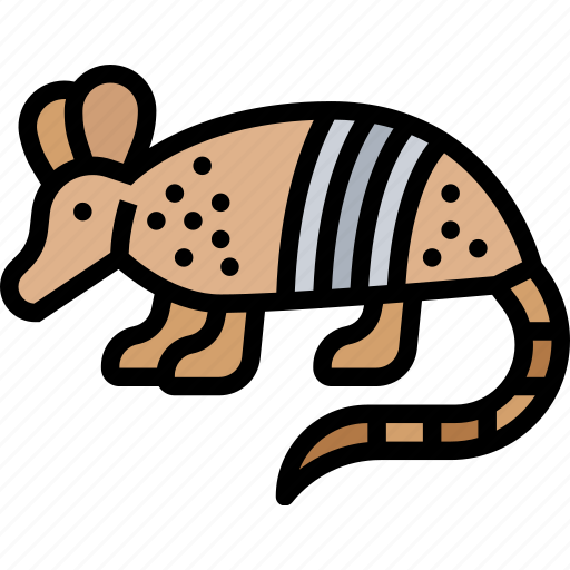 Armadillo, mammal, animal, wildlife, nature icon - Download on Iconfinder
