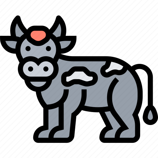 Cow, cattle, farm, livestock, agriculture icon - Download on Iconfinder