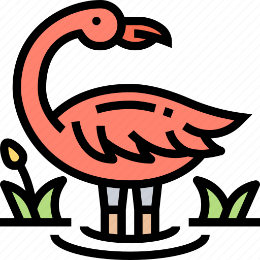 Flamingo, bird, wildlife, animal, nature icon - Download on Iconfinder