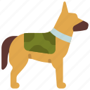 military, dog, war, animal, german, shepheard