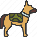 military, dog, war, animal, german, shepheard