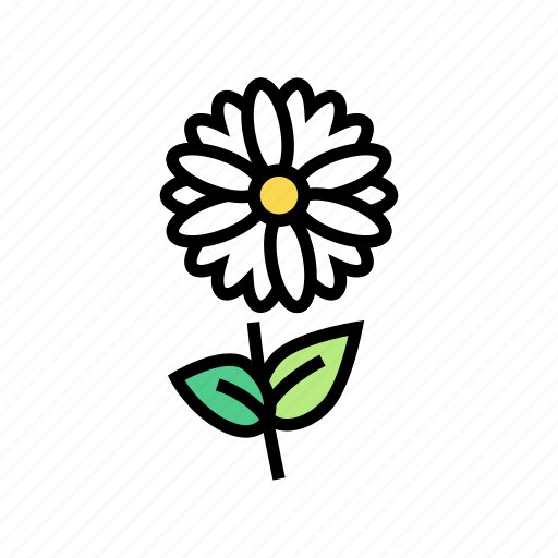 Aromatherapy, chamomile, flower, herbs, linear, peppermint icon - Download on Iconfinder