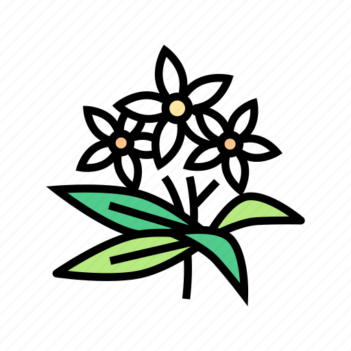 Aromatherapy, flowers, herbs, lavender, neroli, peppermint icon - Download on Iconfinder