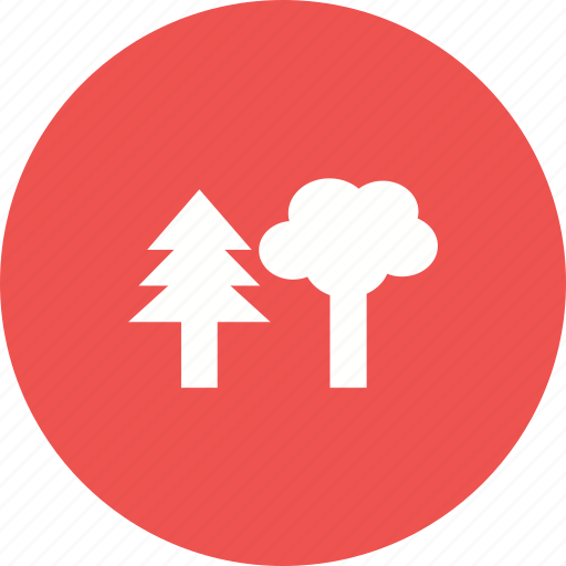 Forest, green, leaves, nature, old, roots, tree icon - Download on Iconfinder