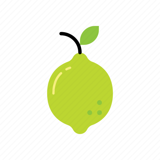 Food, fruit, lime, nature icon - Download on Iconfinder