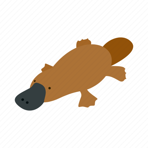 Animal, australia, isometric, mammal, platypus, vectior, wild icon - Download on Iconfinder
