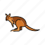 australian, wallabies, marsupial, kangaroos 