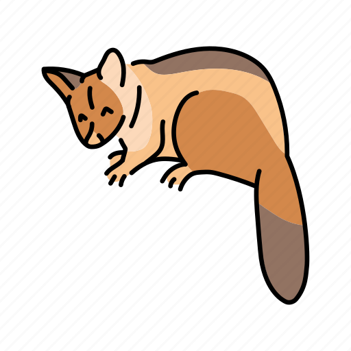 Kuzu, brushtail, possum, couscous icon - Download on Iconfinder