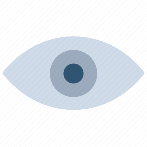 Check, eye, review, show, view, watch icon - Download on Iconfinder