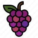 fruit, grape, grapes, wine