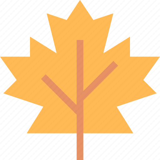 Autumn, ecology, leaf, maple, plant, season icon - Download on Iconfinder