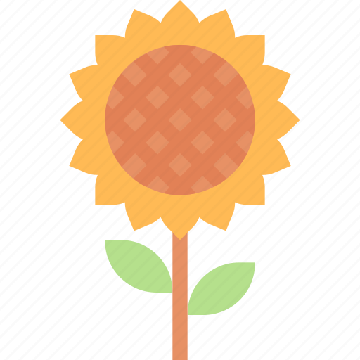 Floral, flower, nature, plant, sun icon - Download on Iconfinder