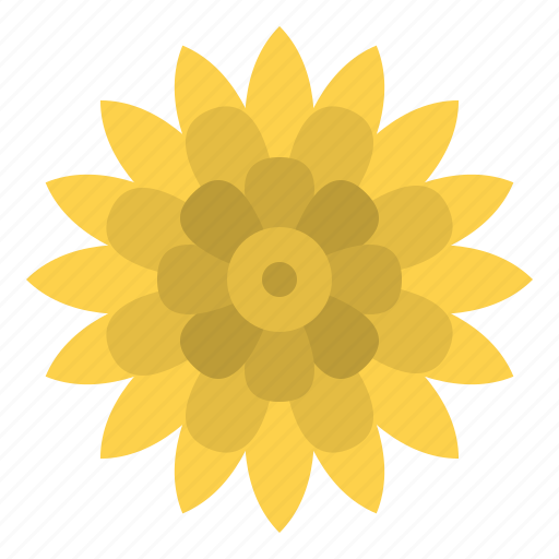 Chrysanthemum, flower, nature, plant icon - Download on Iconfinder