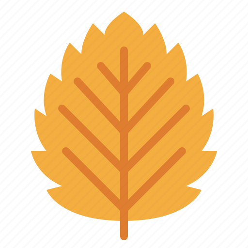 Autumn, fall, leaf, nature icon - Download on Iconfinder