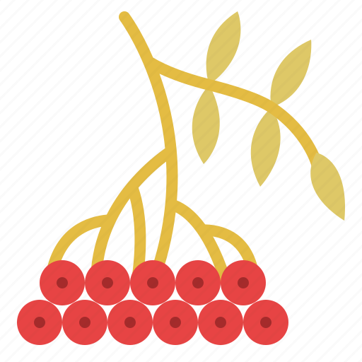 Food, fruit, leaves, rowan icon - Download on Iconfinder