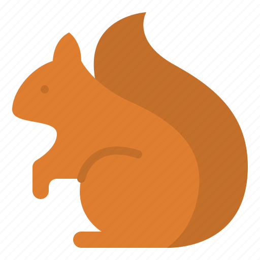 Animal, nature, squirrel, wild icon - Download on Iconfinder